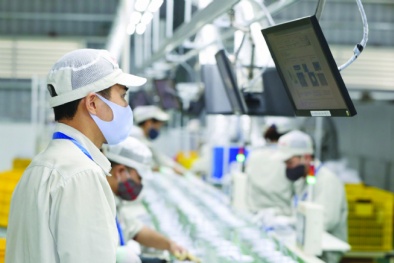 'Động lực chính' để tạo bứt phá về năng suất, chất lượng